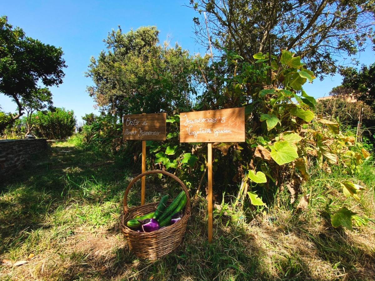 Villa Patrizia Stintino Ngoại thất bức ảnh